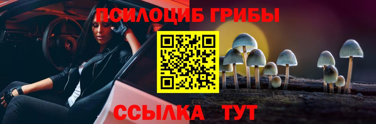Псилоцибиновые грибы мицелий  Вход с VPN  Миасс 